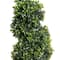 Ashland; 37" Spiral Boxwood UV Resistant Topiary by Ashland®; Category:Potted Plants; Image:3